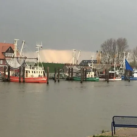 Haus Butje Comfortable Holiday home Fedderwardersiel